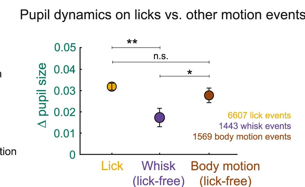 Open access visualization of Scatter Plot, Error Bars, Pupil Size, Lick Events, Whisking