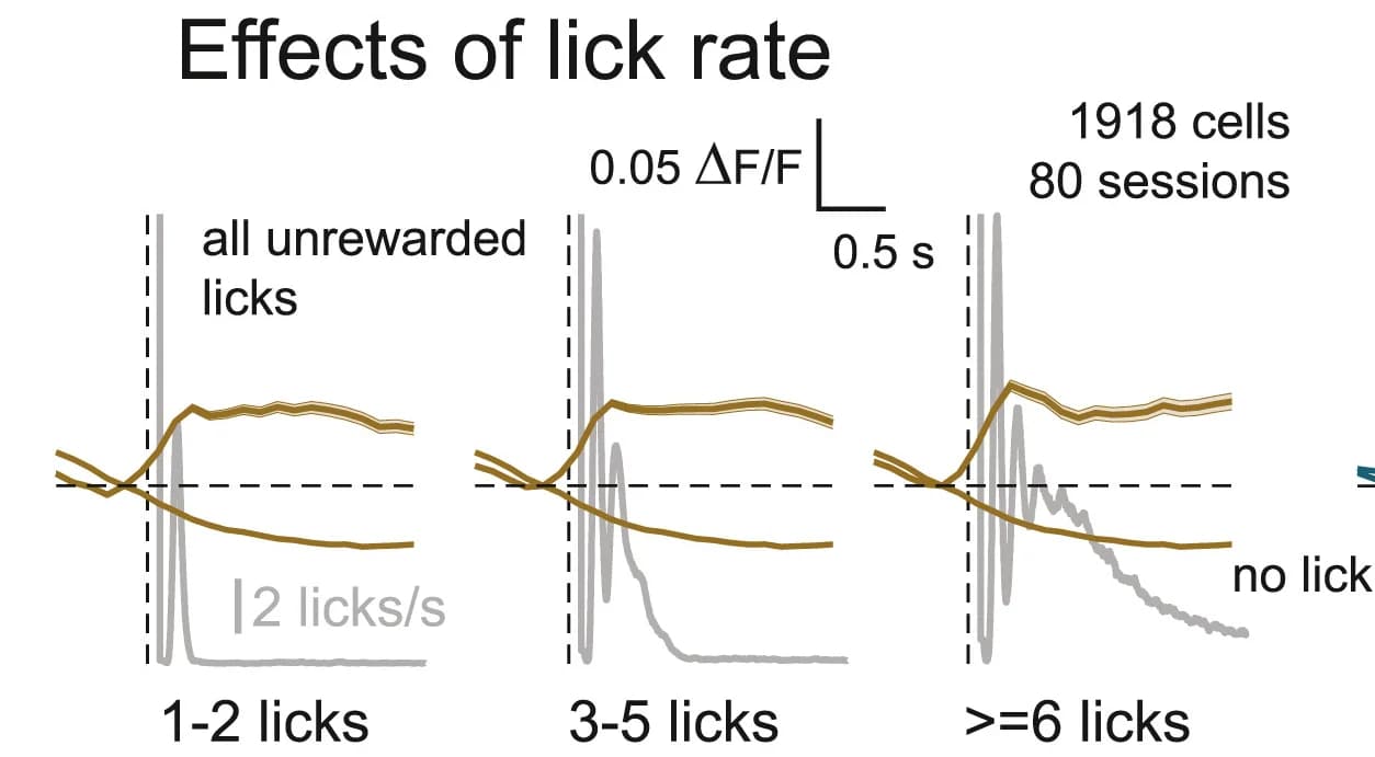 Open access visualization of Line Plot, Error Bars, VIP Cells, Expert Mice, Lick Activity