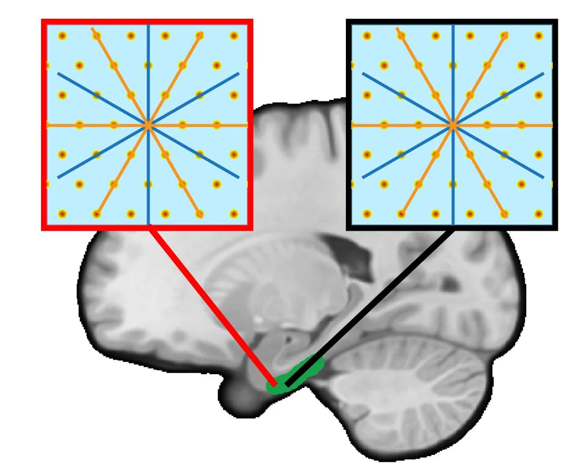 Open access visualization of Illustration, Grid Cells, Entorhinal Cortex, Grid Orientation