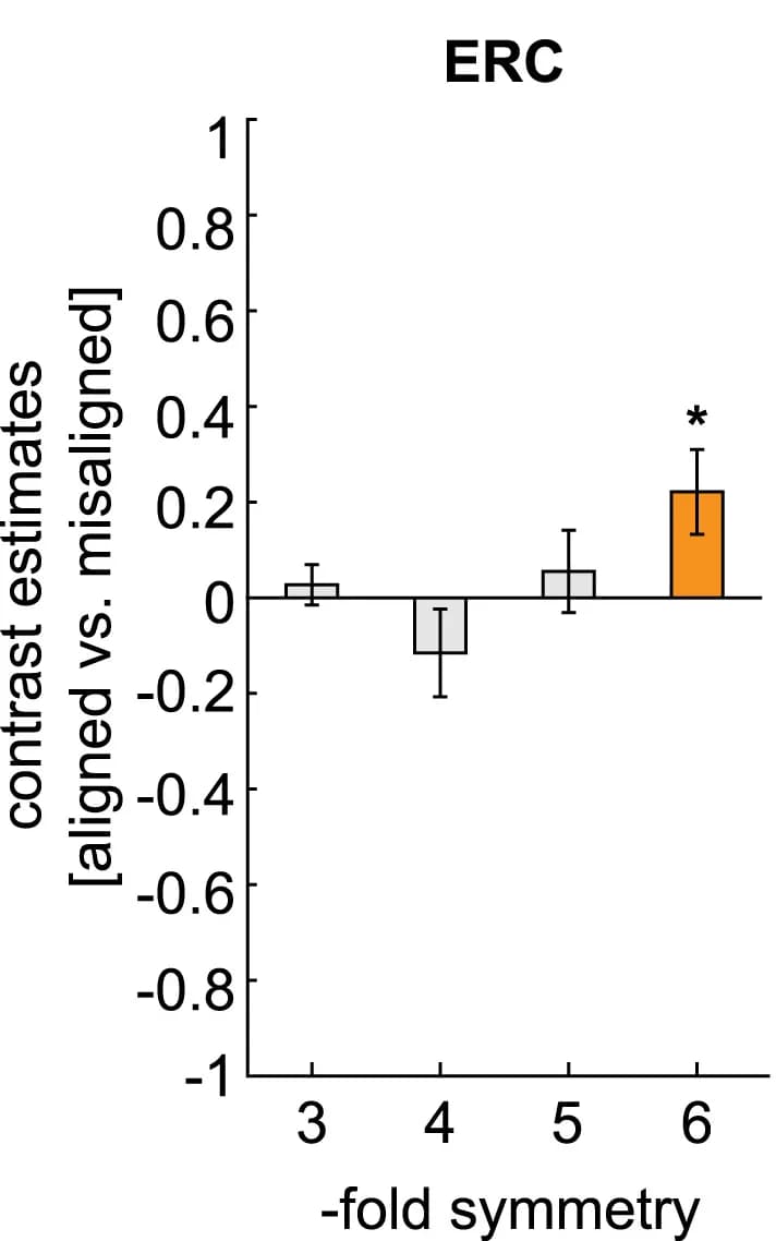 Open access visualization of Bar Plot, Error Bars, Sinusoidal Modulation, fMRI Signal, ERC
