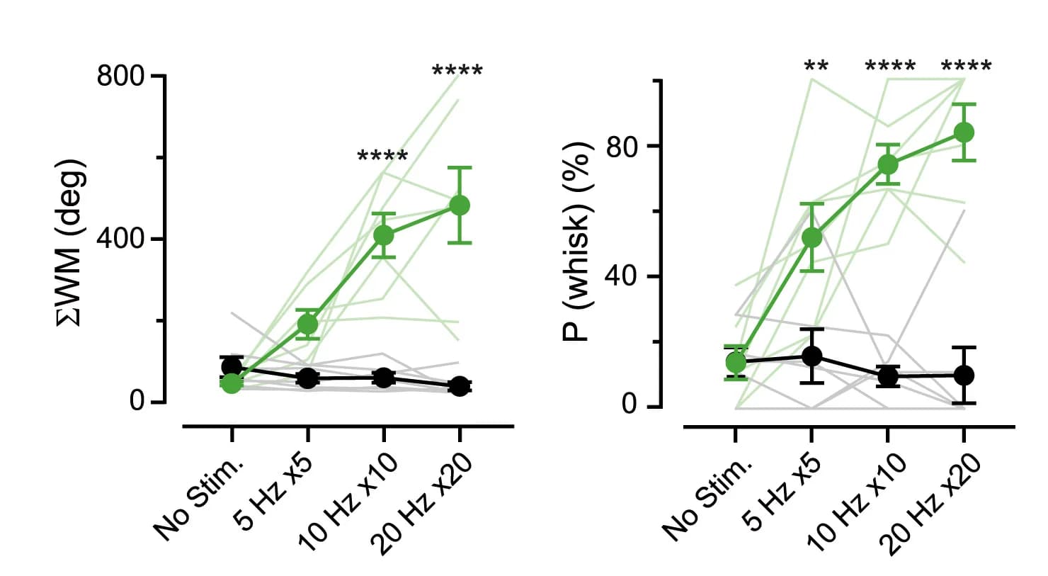 Open access visualization of Line Plot, Error Bars, WM, Whisking Initiation, Probability