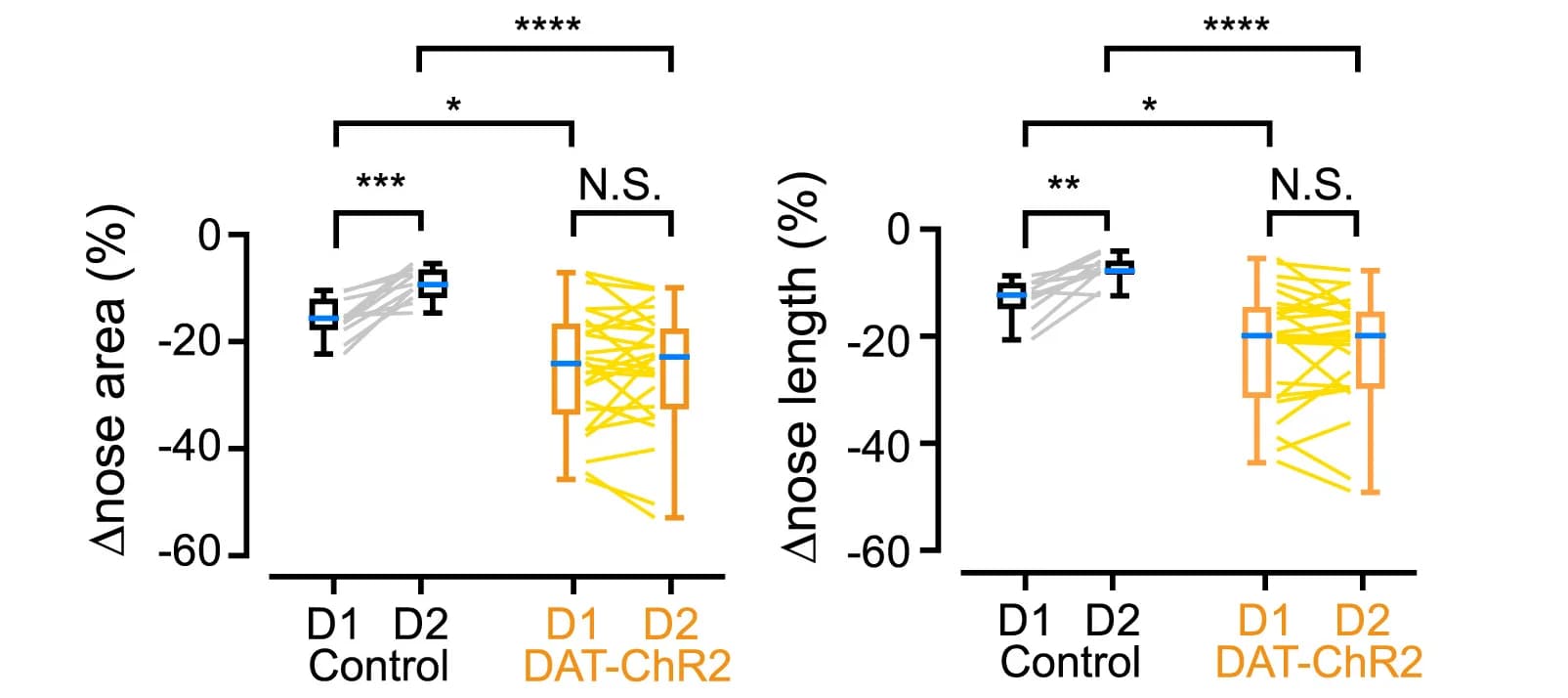 Open access visualization of Box Plot, Line Plot, Nose Area, Nose Length, Quantification