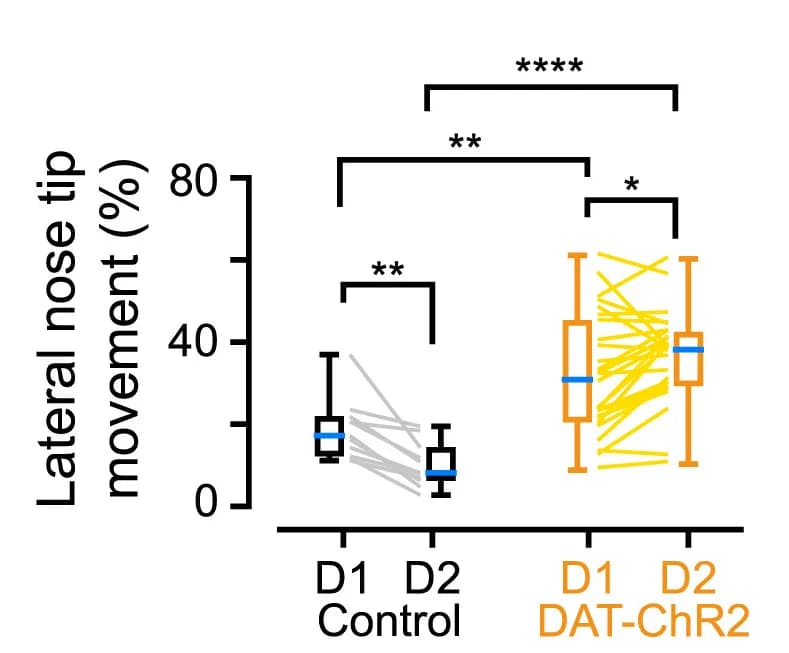 Open access visualization of Box Plot, Scatter Plot, Nose Tip Movements, Lateral Movements, Quantification