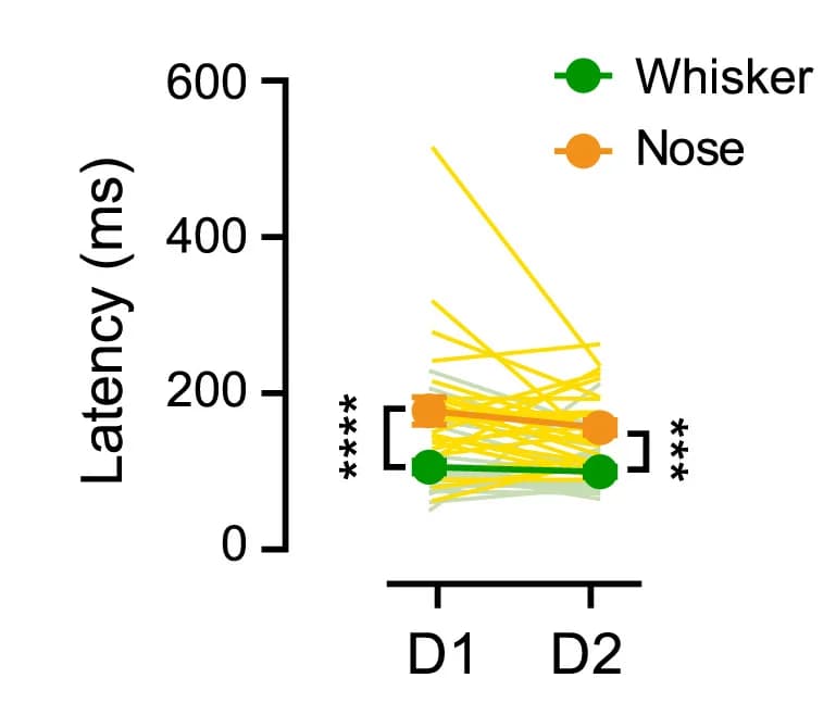 Open access visualization of Line Plot, Scatter Plot, Cue-locked WP, Nose Tip Movements, Latency