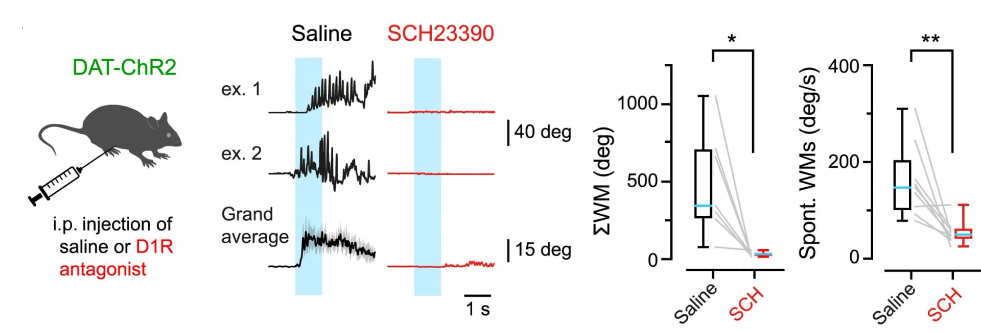 Open access visualization of Box Plot, Line Plot, Experiment, Whisker position, oDAS