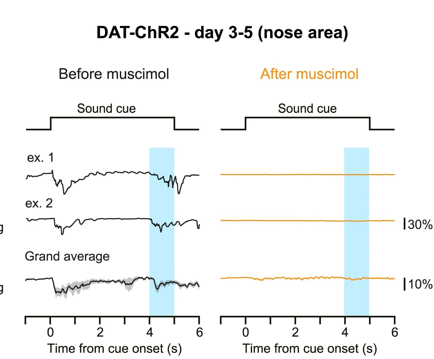 Open access visualization of Line Plot, Line Step, Error Bars, Nose Area, Whisker Position