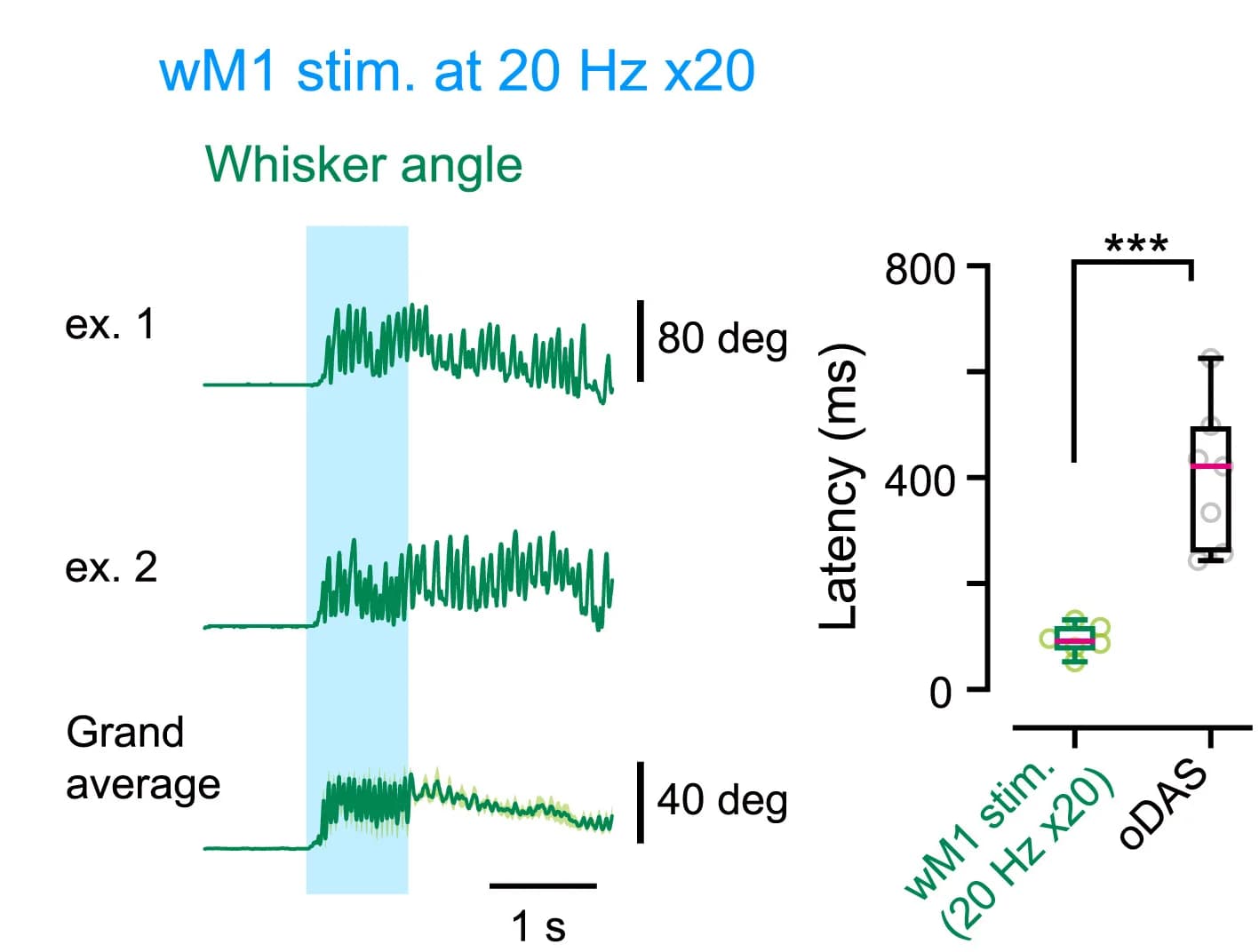 Open access visualization of Line Plot, Box Plot, Whisker position, Photostimulation, ChR2