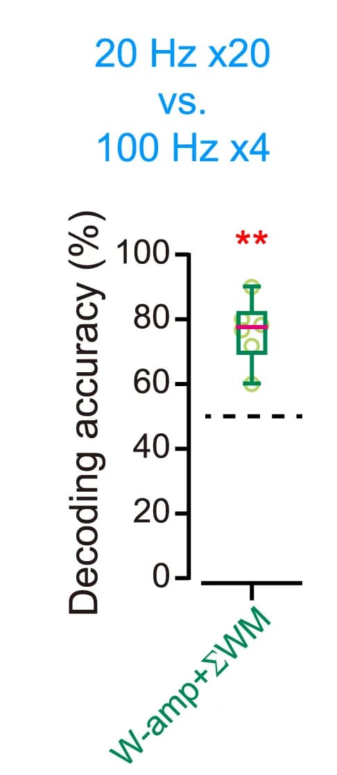 Open access visualization of Box Plot, Decoding accuracy, WP amplitude, WM, wM1 stimulation