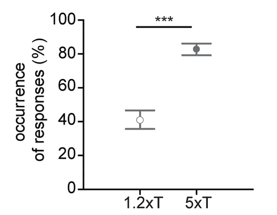 Open access visualization of Scatter Plot, Error Bars, Observed Responses, Recorded Muscles, Mice Groups