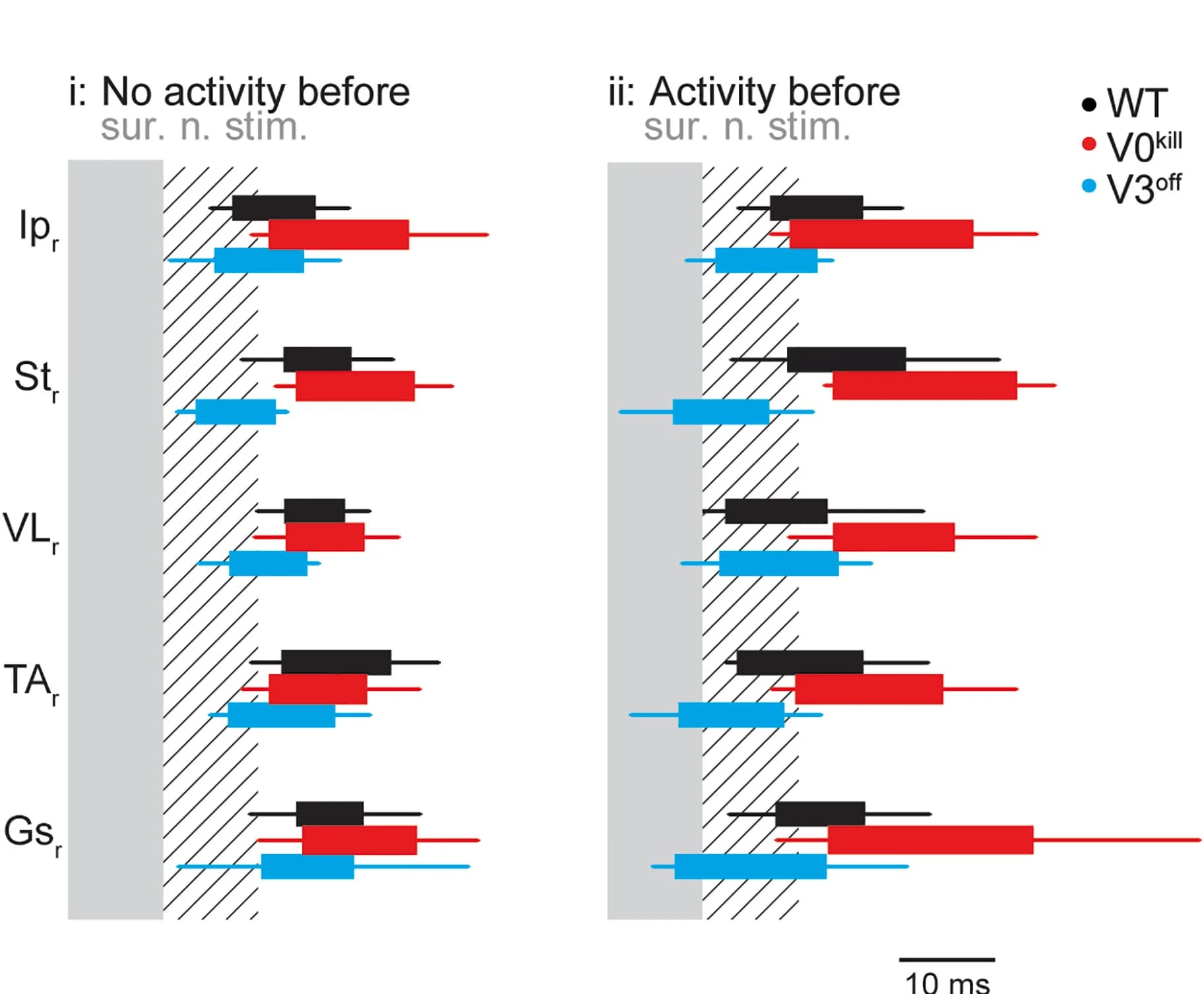 Open access visualization of Bar Plot, Error Bars, Box Diagrams, Muscle Activity, Nerve Stimulation