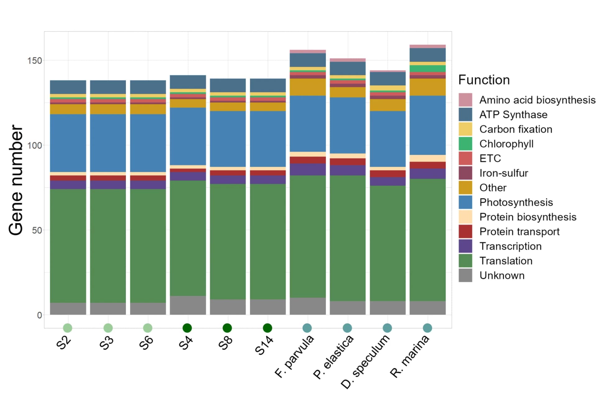 Open access visualization of Stacked Bar Plot, Annotated Genes, Bar Plot, Genomes, Functional Group