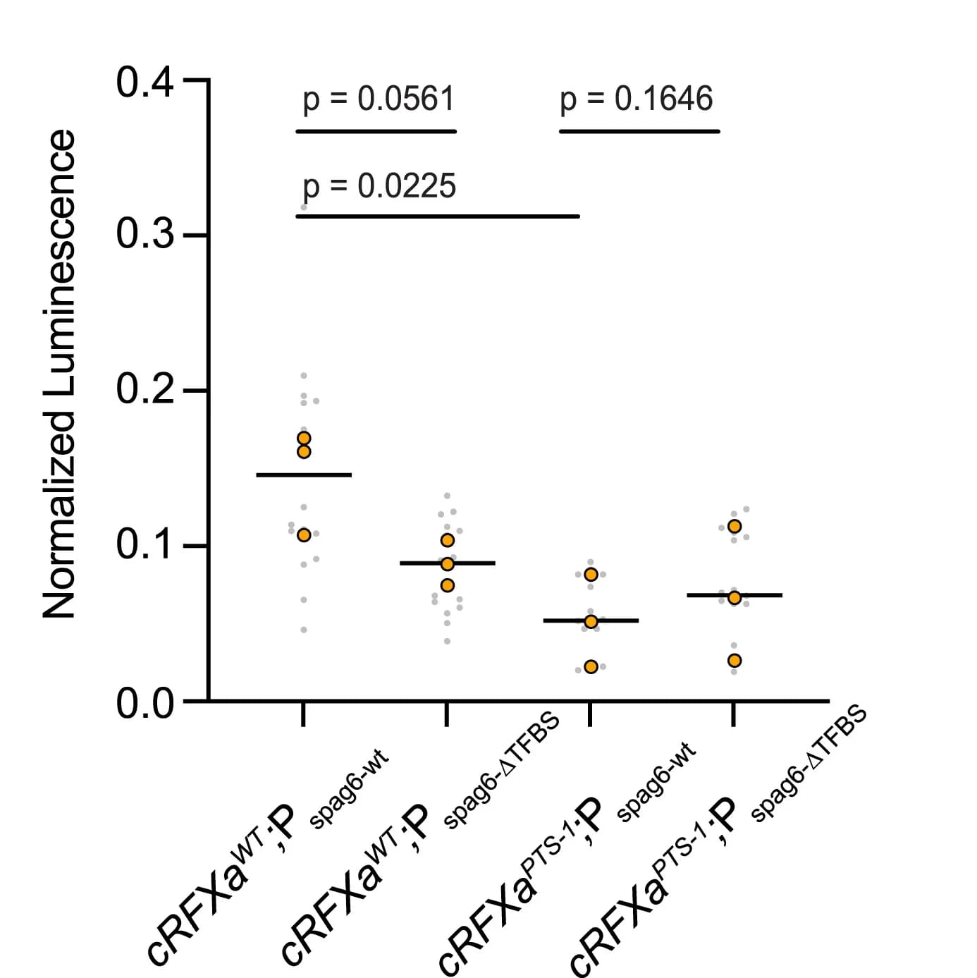 Open access visualization of Scatter Plot, RFX-binding Site, SPAG6 Promoter, NanoLuc Luciferase, Gene Expression