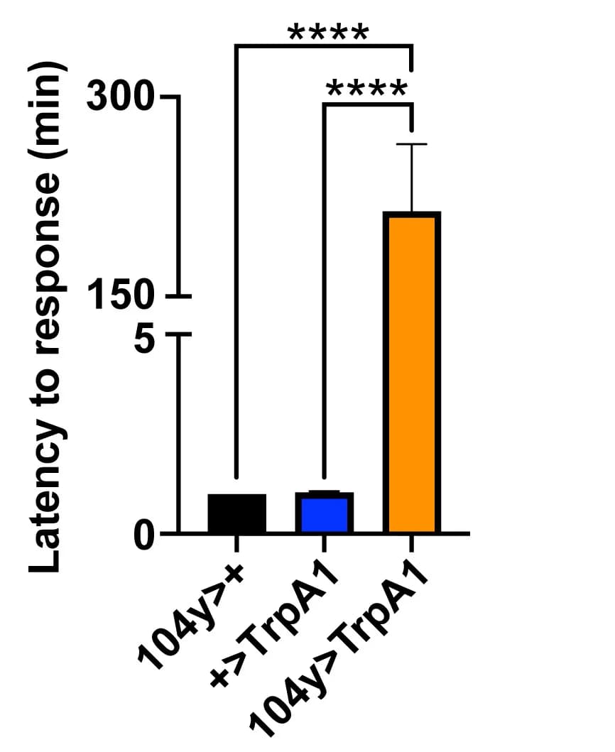 Open access visualization of Bar Plot, Error Bars, Thermogenetic Activation, Neurons, Mechanical Agitation