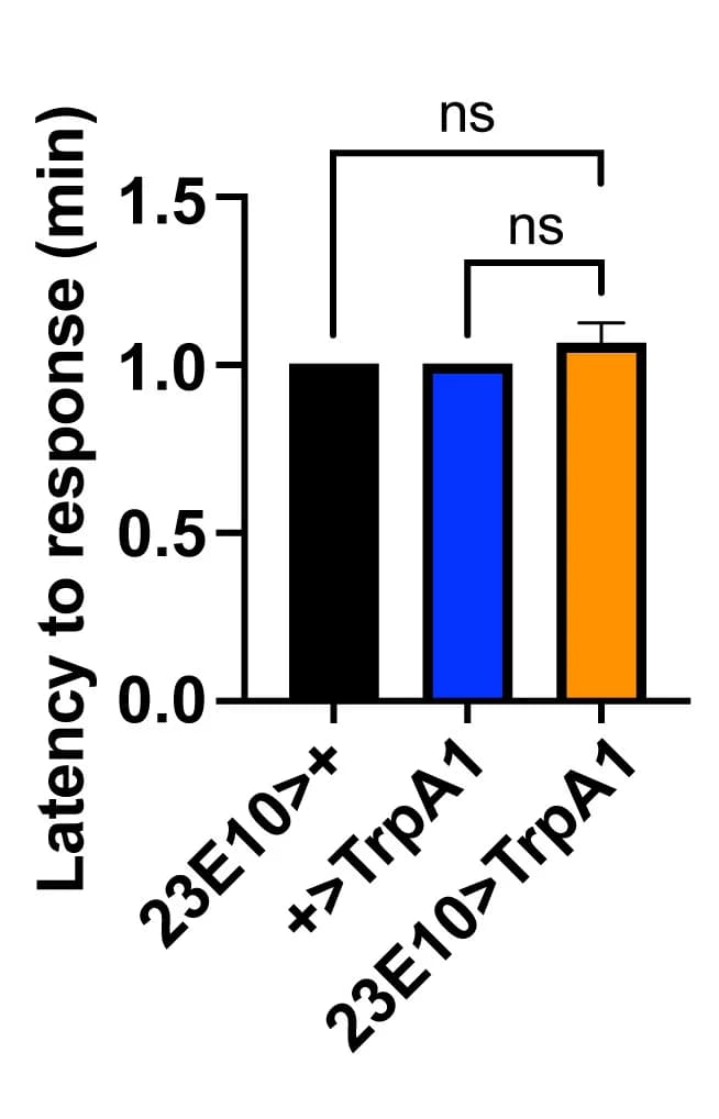 Open access visualization of Bar Plot, Error Bars, Sleep, Mechanical Agitation