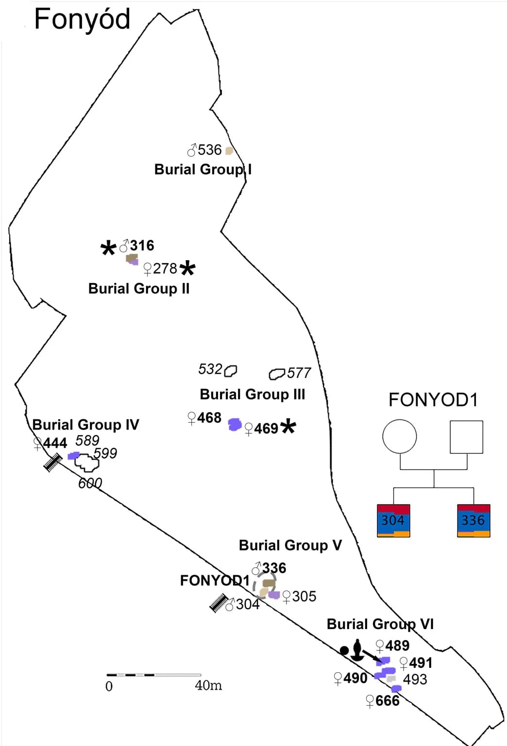 Open access visualization of Geo Map, Cemetery Map, Fonyód, Burials, Age