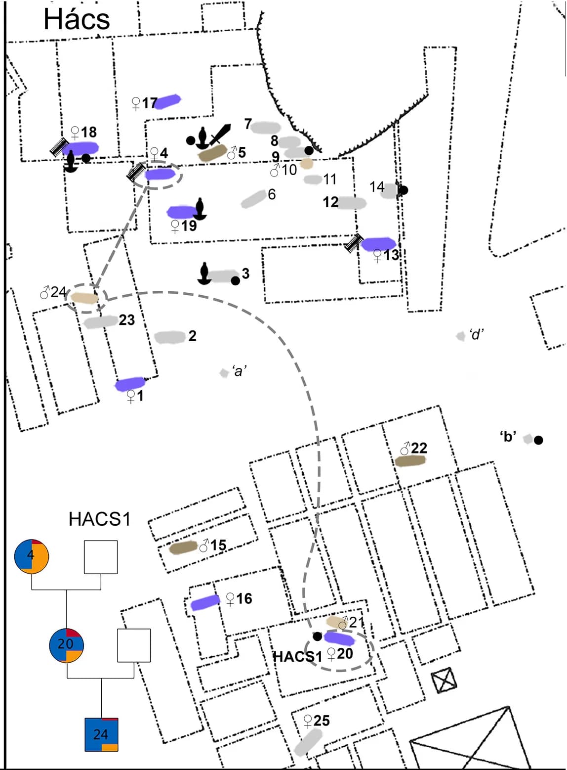 Open access visualization of Illustration, Cemetery Map, Hács, Burials, Age