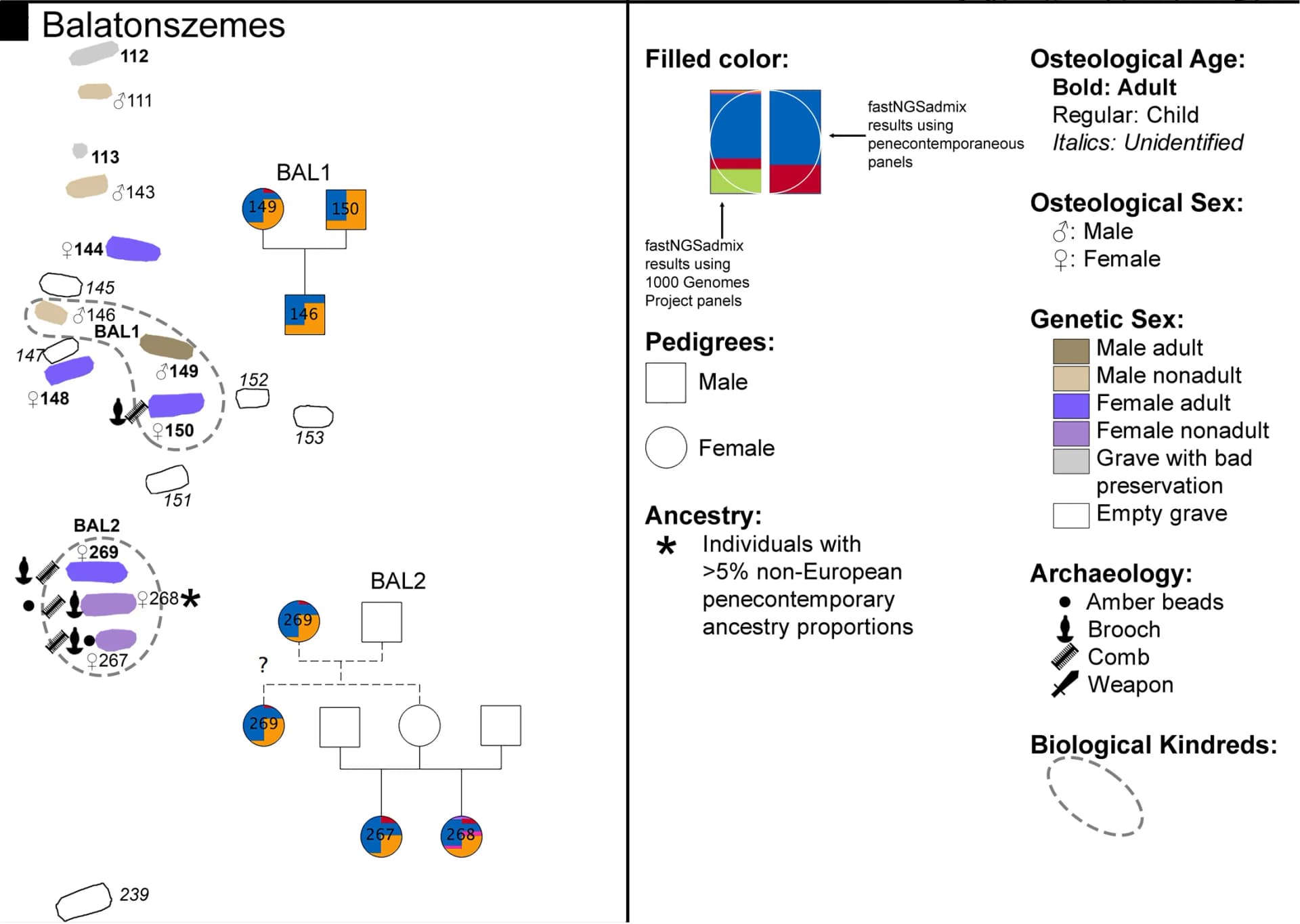 Open access visualization of Illustration, Pie Chart, Flowchart, Cemetery Map, Balatonszemes