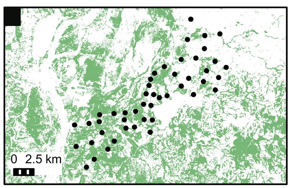Open access visualization of Geo Map, Human-Modified Landscape, Habitat Fragmentation, Agriculture, Puerto Wilches