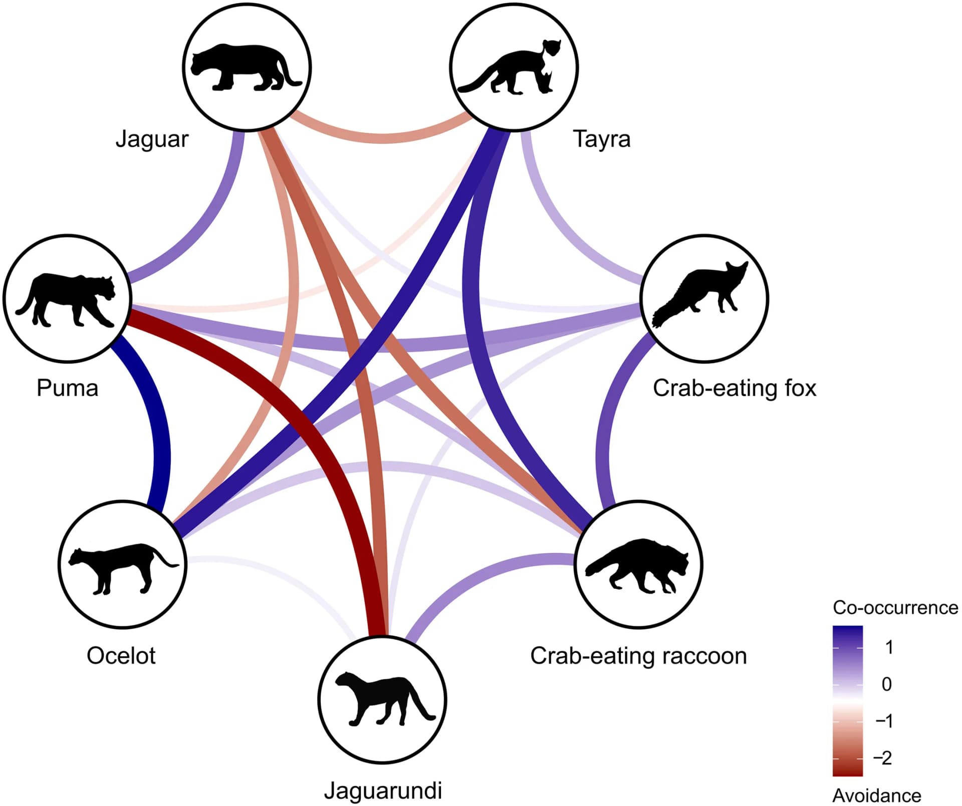 Open access visualization of Network, Chord, Spatial Overlap, Carnivores, Habitat Partitioning