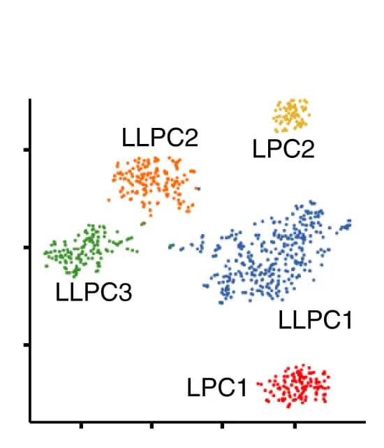 Open access visualization of Scatter Plot, UMAP, PCA, tSNE, LPC/LLPC clusters