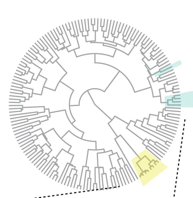 Open access visualization of Network, Pathway, Hierarchical clustering, Transcriptomes, Visual system atlas