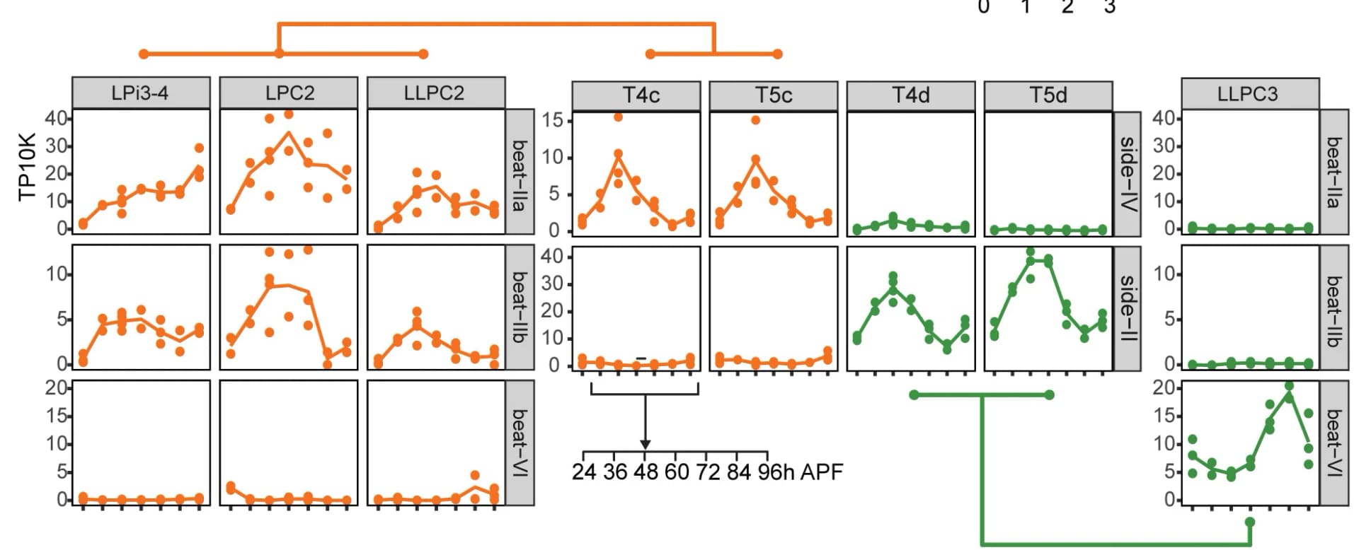 Open access visualization of Line Plot, Scatter Plot, Line Plots, Expression Levels, Beat Proteins