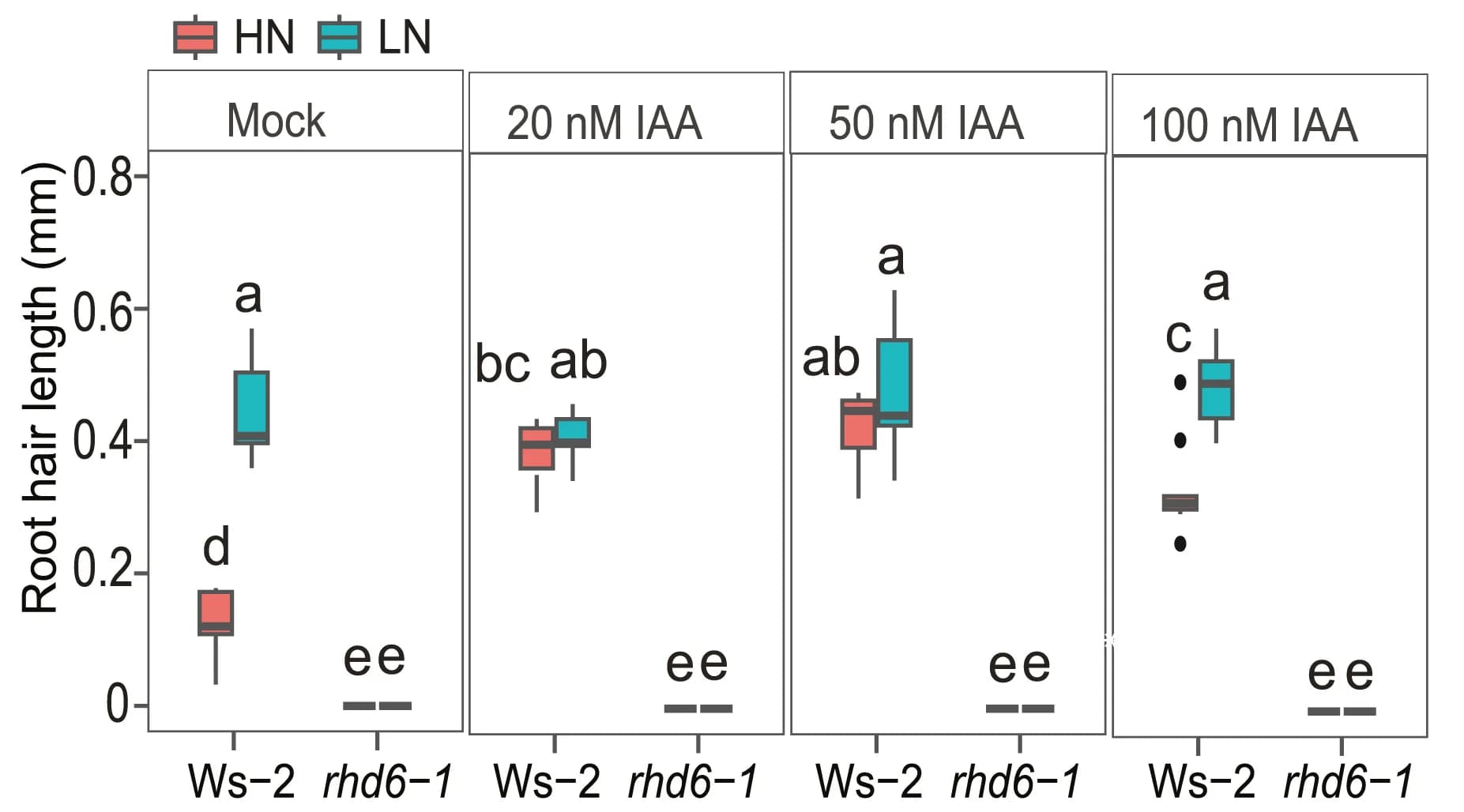 Open access visualization of Box Plot, RH Length, Wild-type, HN, LN