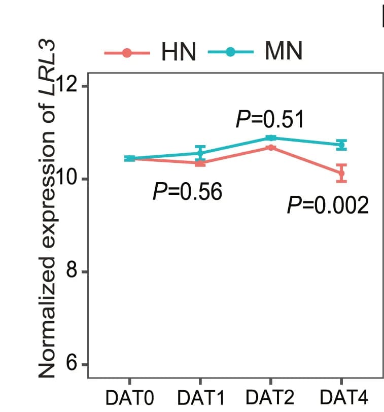 Open access visualization of Line Plot, Error Bars, Transcript Profiling, Nitrogen Conditions, Biological Replicates