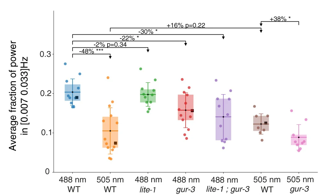 Open access visualization of Violin Plot, Box Plot, Scatter Plot, Error Bars, Frequency Range