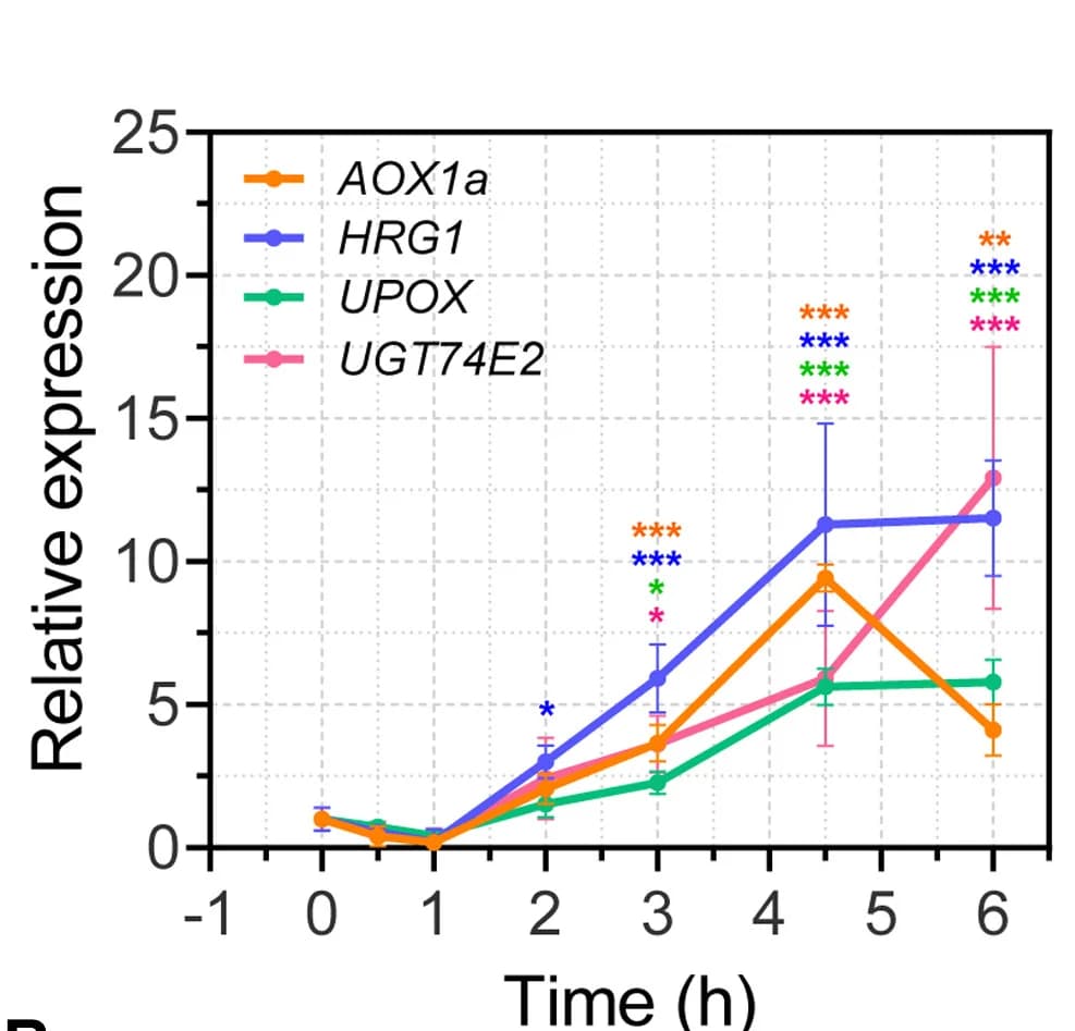 Open access visualization of Line Plot, Error Bars, Transcript Abundance, MRR-marker Genes, Seedlings