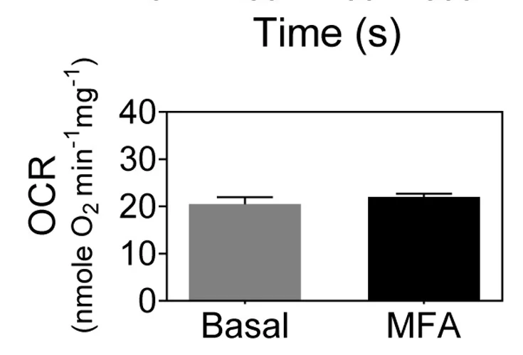 Open access visualization of Bar Plot, Error Bars, Oxygen Consumption Rate, Isolated Mitochondria, MFA