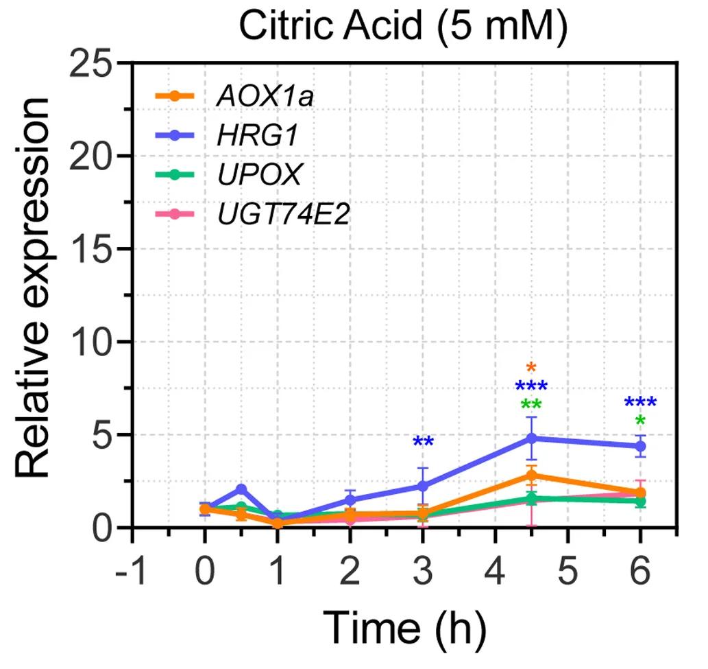 Open access visualization of Line Plot, Error Bars, MRR-marker Genes, Citrate Treatment, Gene Expression