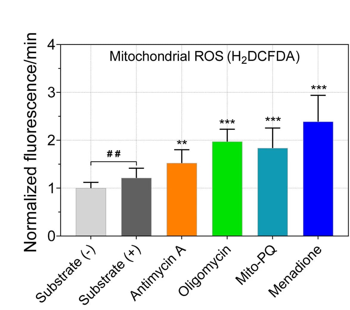 Open access visualization of Bar Plot, Error Bars, Mitochondria, ROS, H2DCF-DA