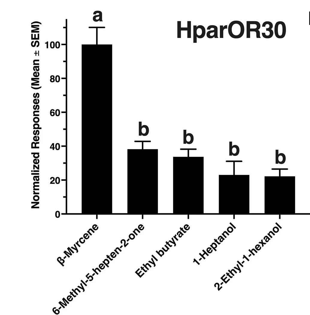 Open access visualization of Bar Plot, Error Bars, Current Responses, Oocytes, HparOR30