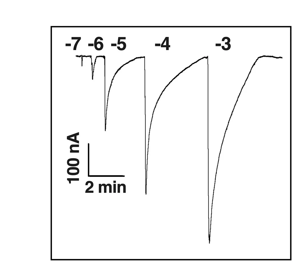 Open access visualization of Line Plot, Line Step, Currents, HparOR14, HparOrco