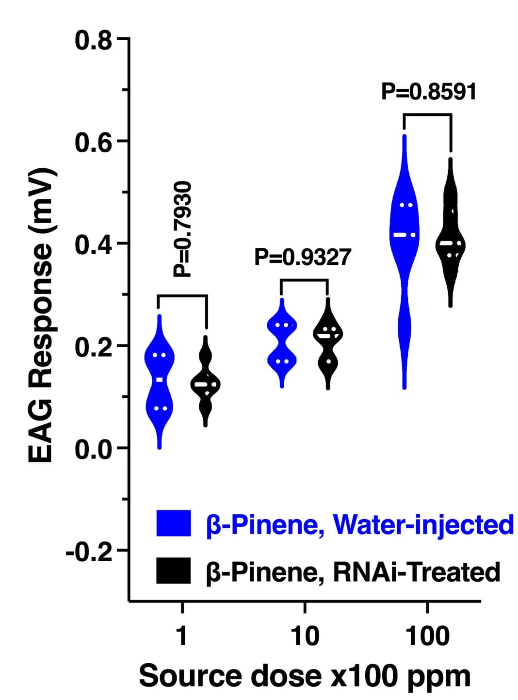 Open access visualization of Violin Plot, Electroantennographic Responses, EAG, β-pinene, RNAi