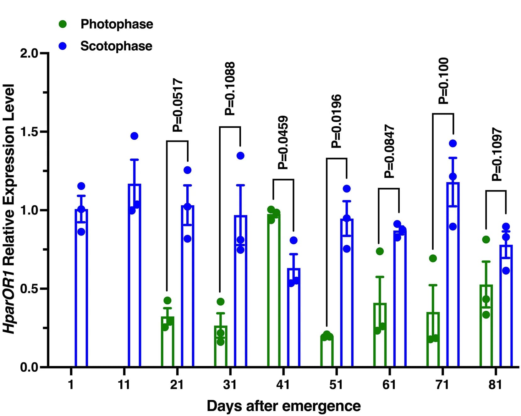 Open access visualization of Bar Plot, Error Bars, Scatter Plot, Transcript Levels, Receptor Gene