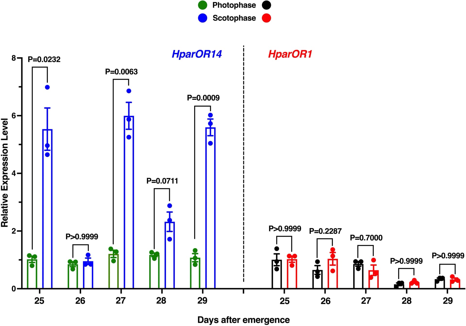 Open access visualization of Bar Plot, Error Bars, Scatter Plot, Transcript Levels, Photophase