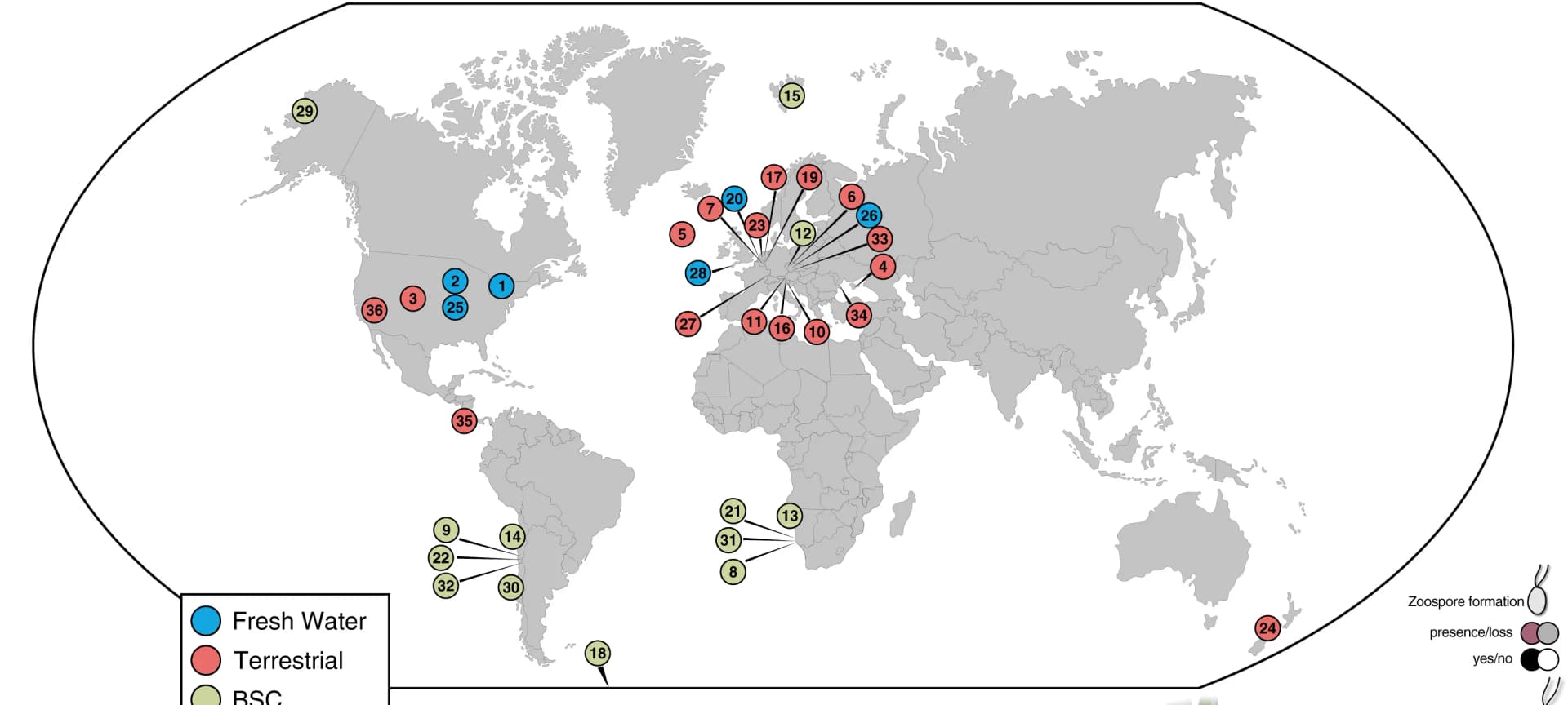 Open access visualization of Geo Map, World Map, Klebsormidiophycean Strains, Interactive Map
