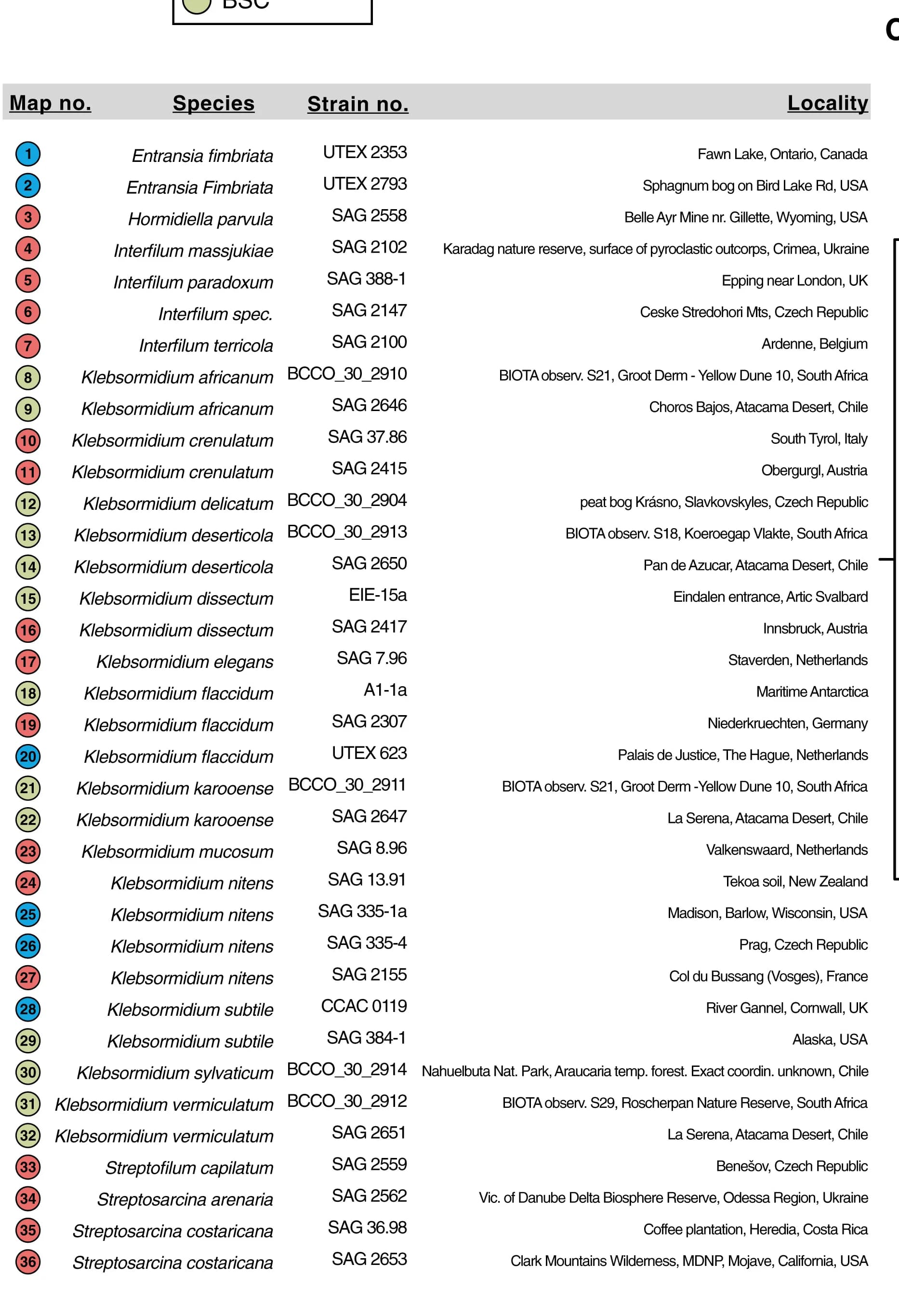 Open access visualization of Table Image, Klebsormidiophyceae Strains, Strains