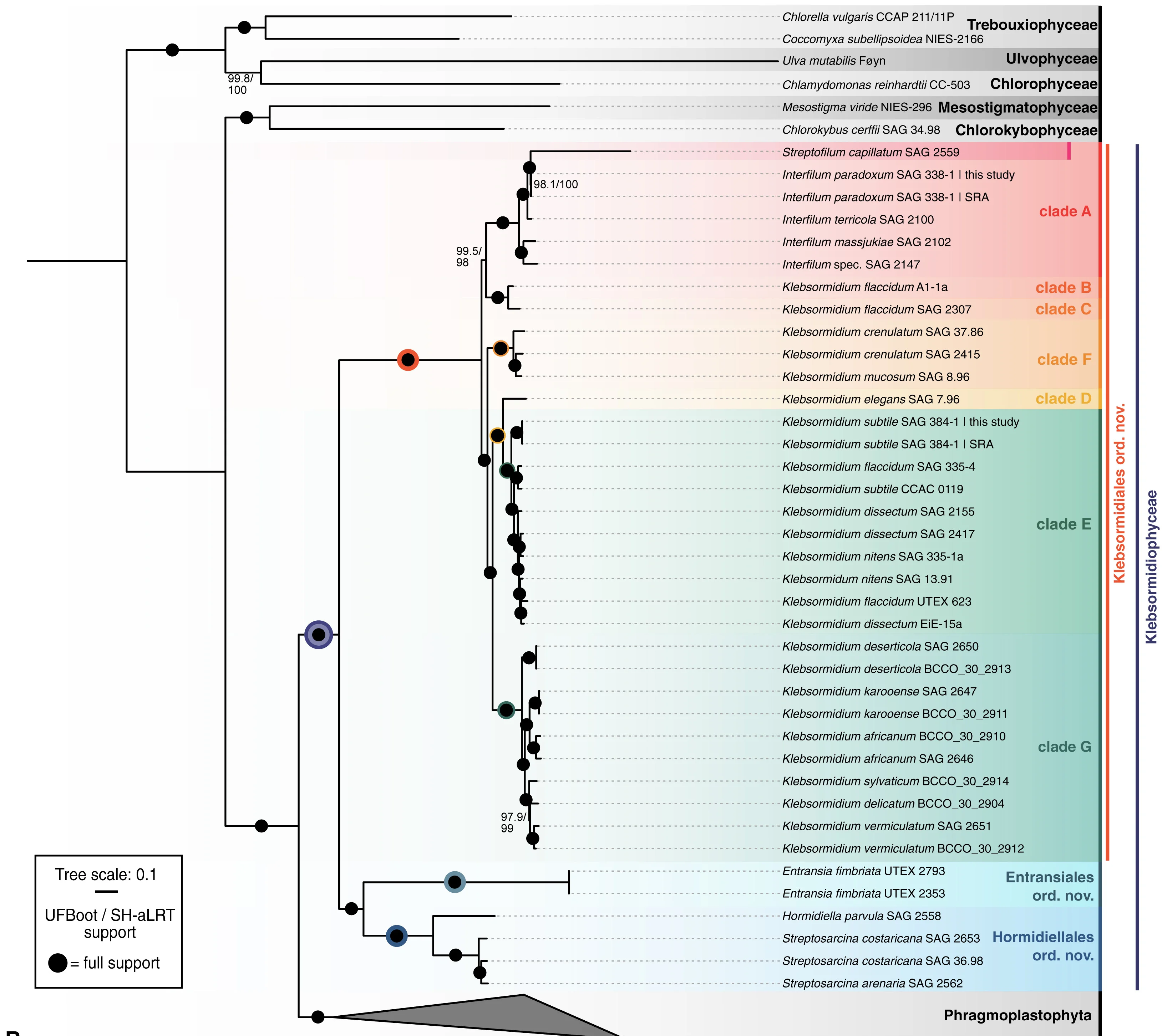 Open access visualization of Network, Pathway, Phylogenetic Analysis, Loci, LG+C60 Mixture Model