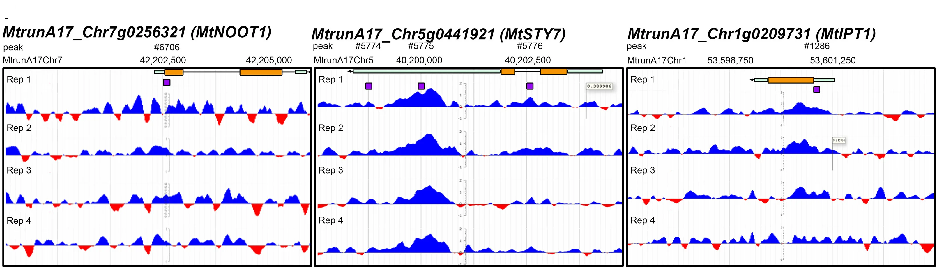 Open access visualization of Line Plot, ChIP-seq, Replicates, GFP, LSH1