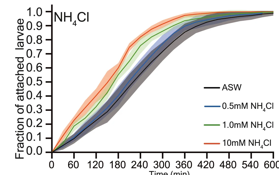 Open access visualization of Line Plot, Error Bars, Attachment Curves, ASW, Soluble Chemicals