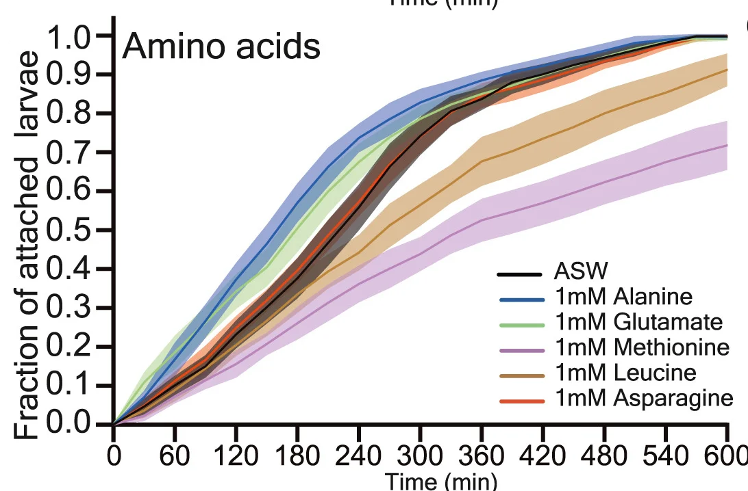 Open access visualization of Line Plot, Error Bars, Attachment Curves, ASW, Soluble Chemicals