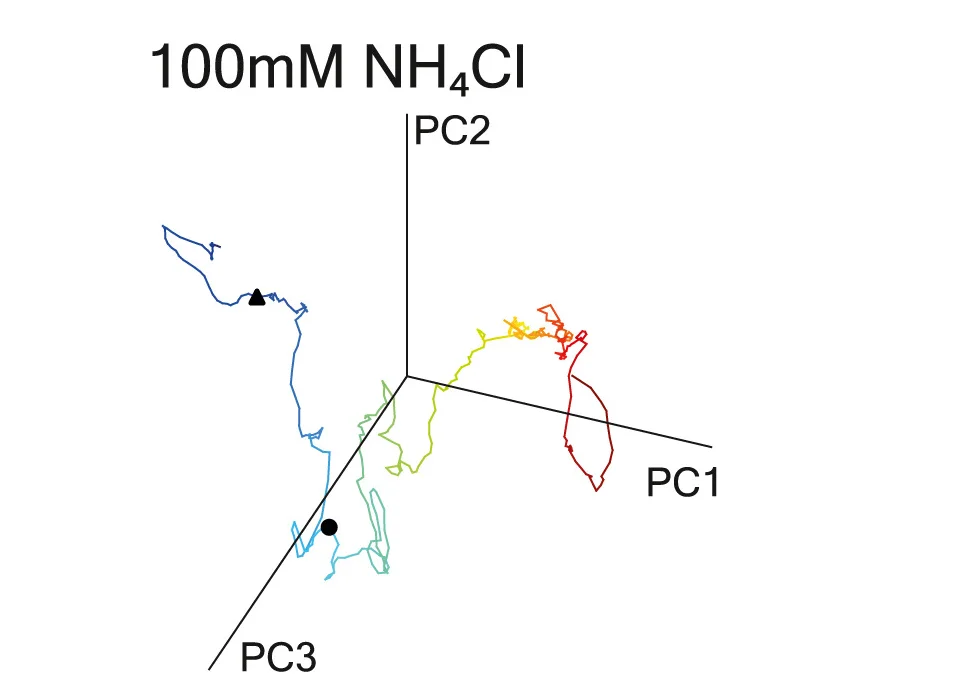 Open access visualization of Line Plot, 3D Plot, PCA, Phase Plots, Brain State