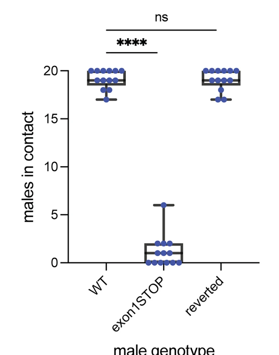 Open access visualization of Box Plot, Scatter Plot, Chemotaxis, Wild-Type, Odr-7 Exon 1 STOP-IN