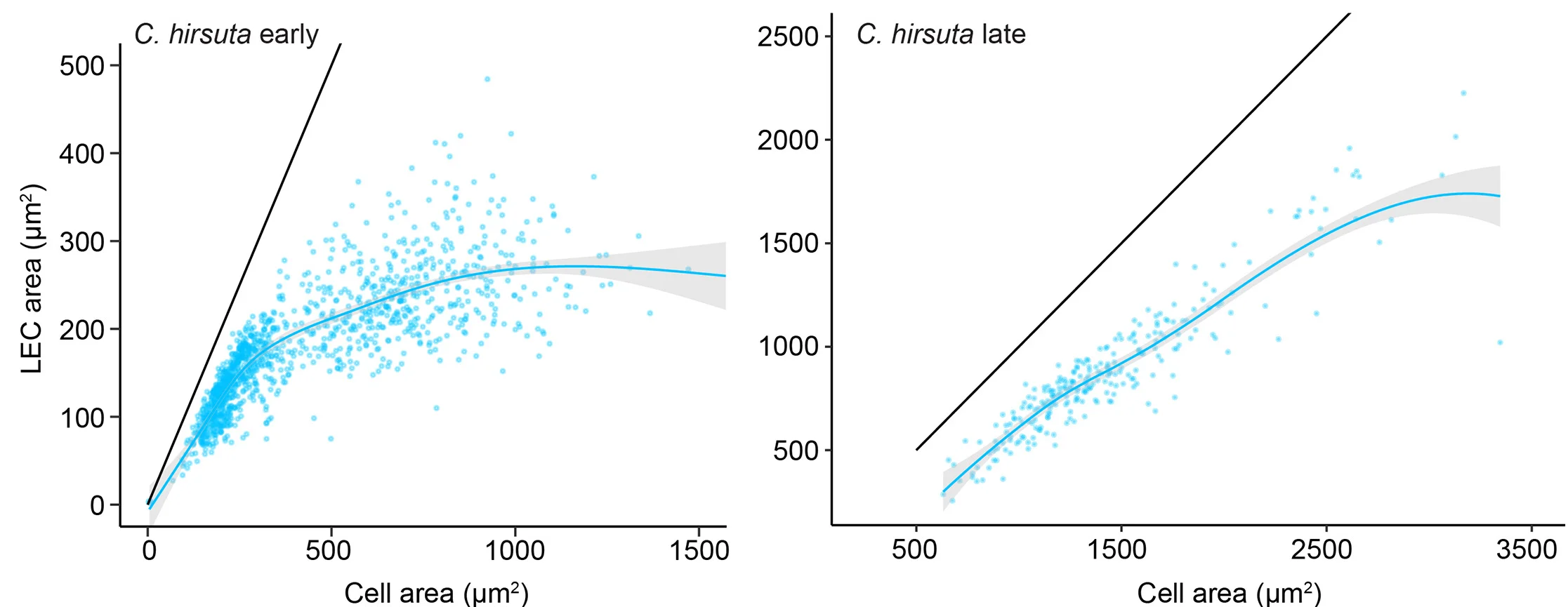 Open access visualization of Scatter Plot, Regression Plot, C. hirsuta, Exocarp Cell, Cell Area