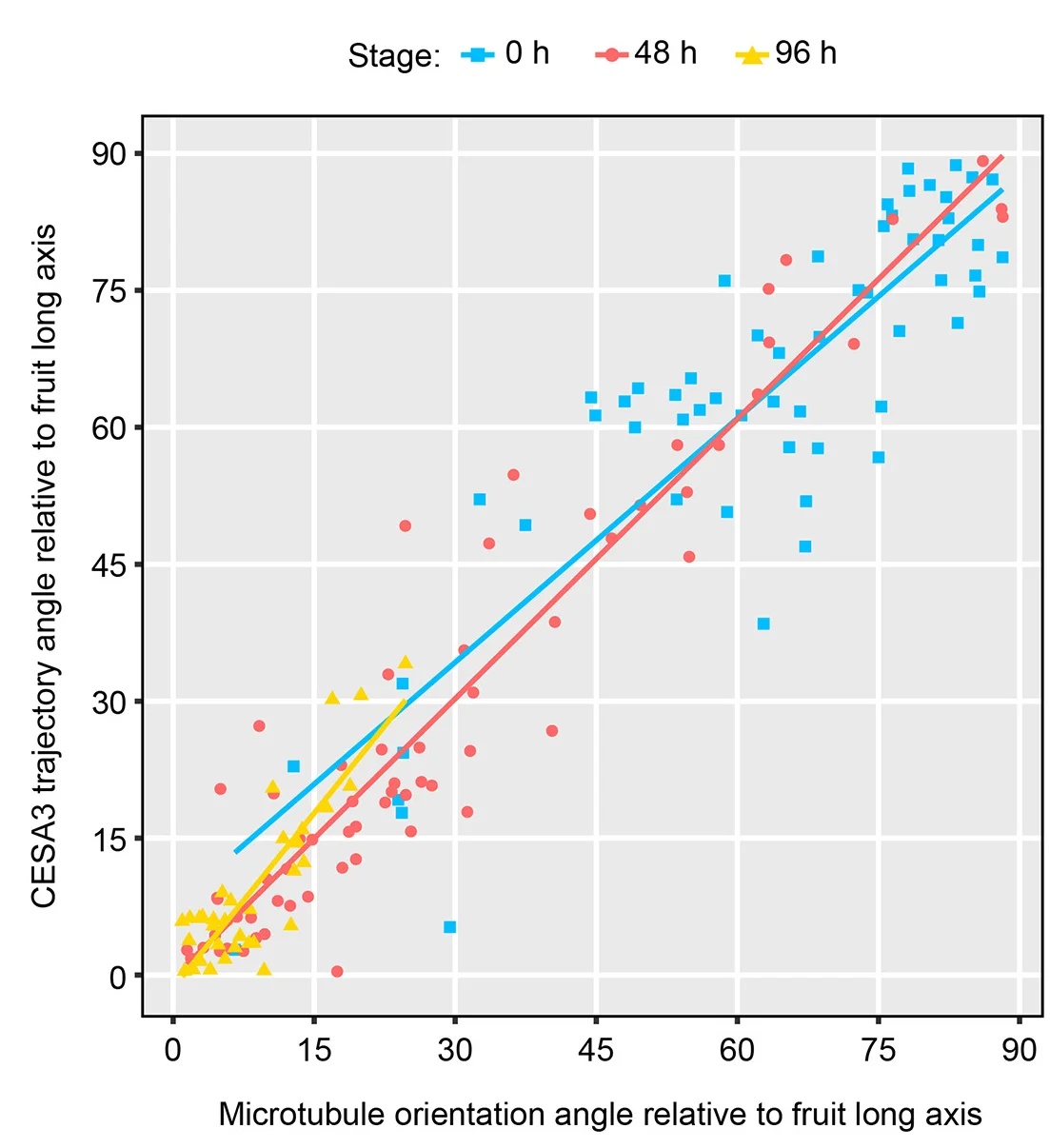 Open access visualization of Scatter Plot, Regression Plot, Scatterplot, Correlation, GFP-CESA3 Trajectories