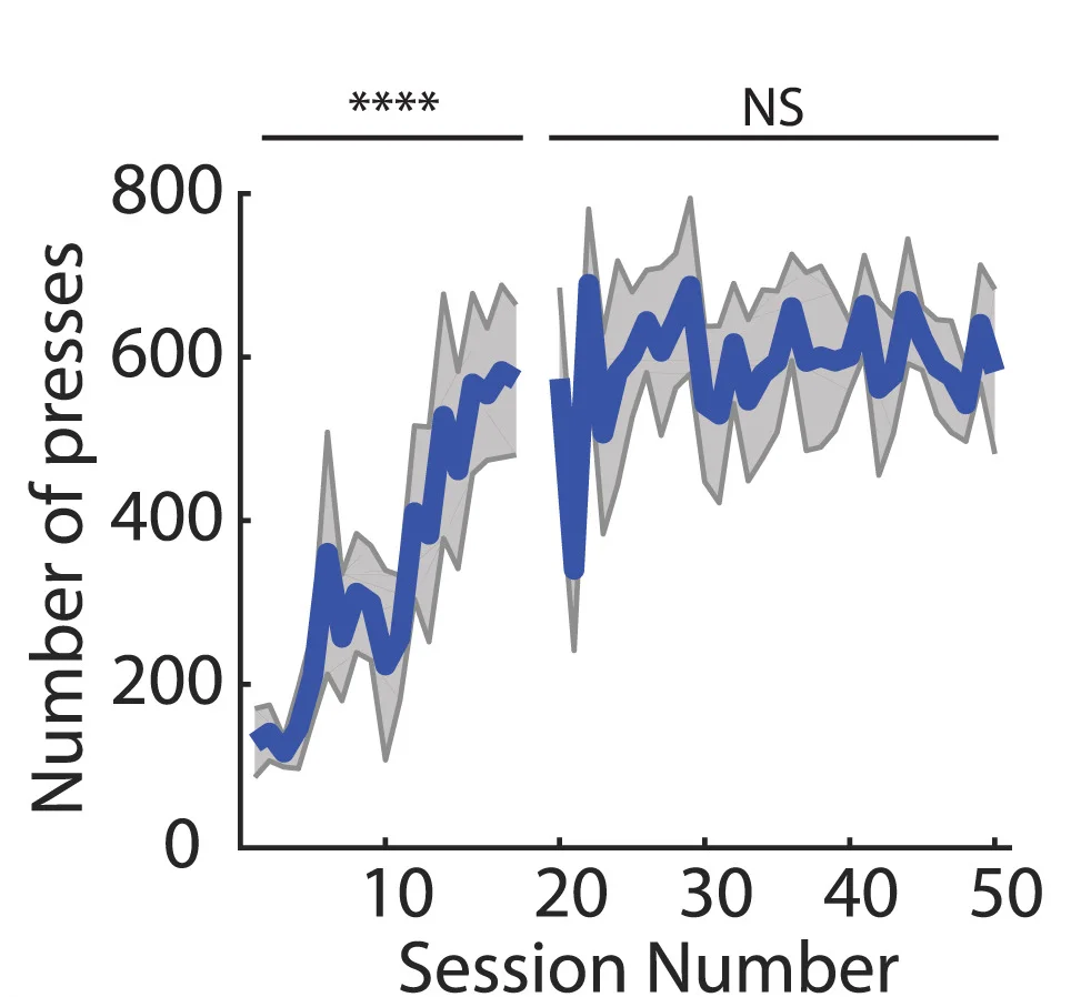 Open access visualization of Line Plot, Error Bars, Lever Press, Training