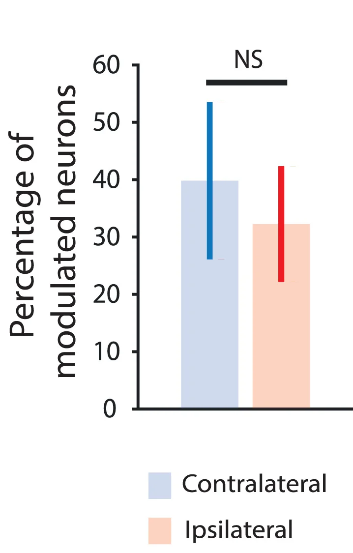 Open access visualization of Bar Plot, Error Bars, Clustered, Positively Modulated Neurons, Lever Press